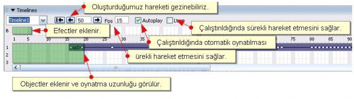 Timeline Anlatımı