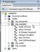 Database Paneli