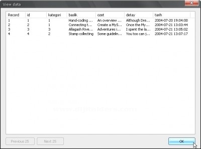 Database Paneli