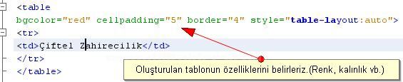 Outlines, Padding, Positioning, Table, Text, Pseudo-classes, Pseudo-elements