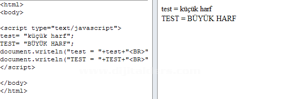 Javascript nedir?