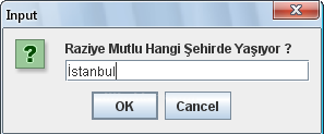 Java Da &Ccedil;ok Boyutlu Diziler
