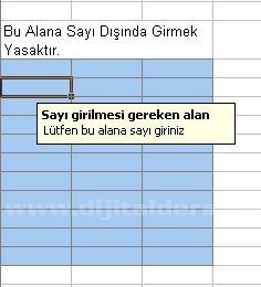 Veri Doğrulama