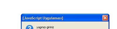 İf, Else İf , Kısa Karşılaştırma Operatörü