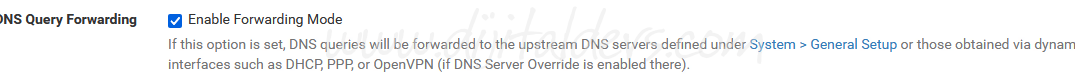 pfsense DNS Resolver Ayarları